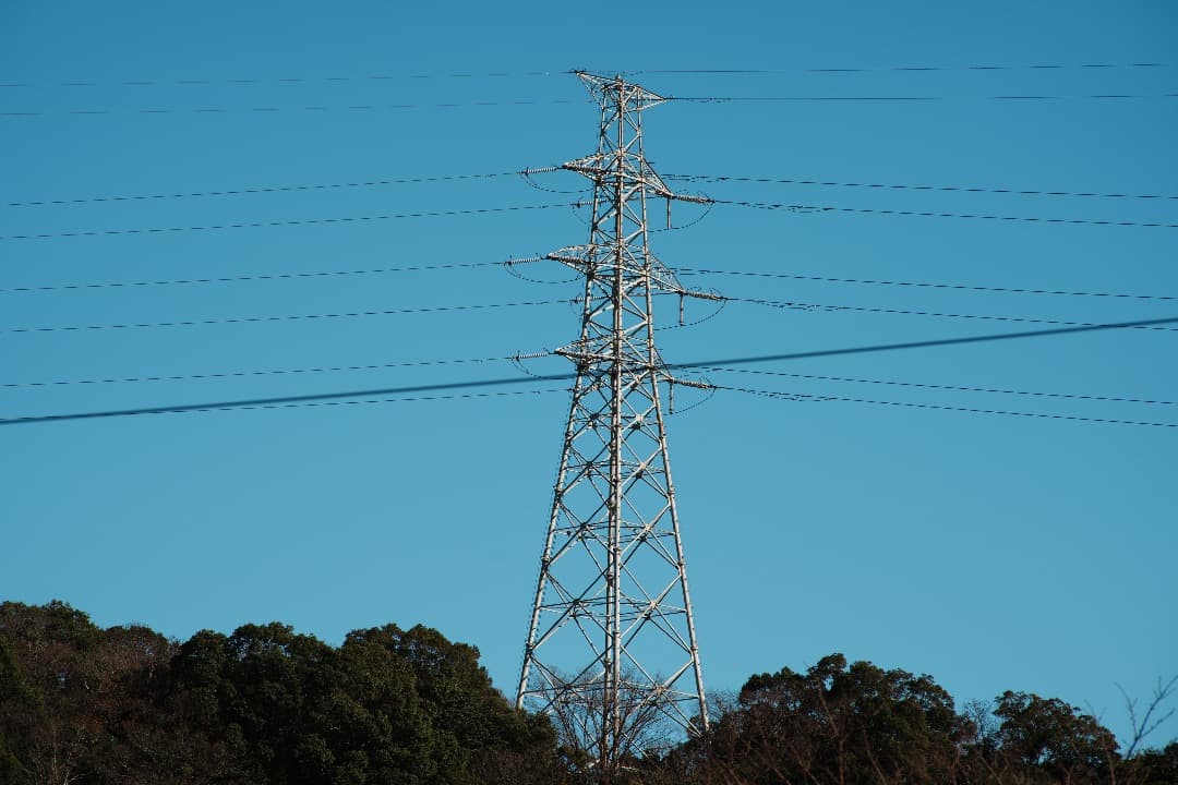 【整備テスト】オリンパス Zuiko Auto-T 180mm F2.8 896