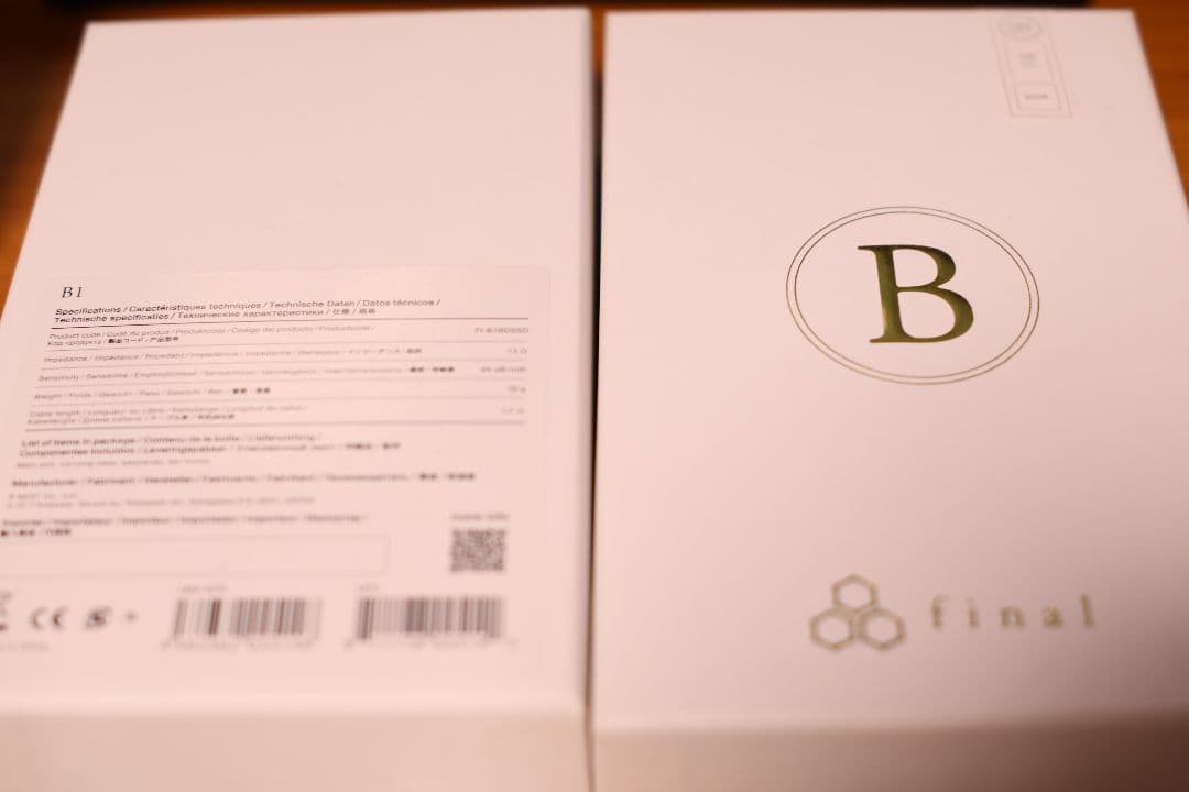 【専用】final B1 リケーブル可能イヤホン