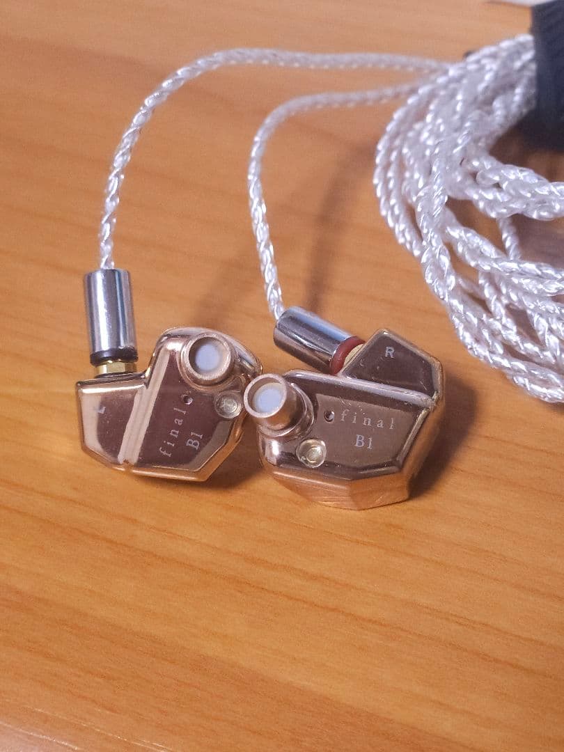 【専用】final B1 リケーブル可能イヤホン