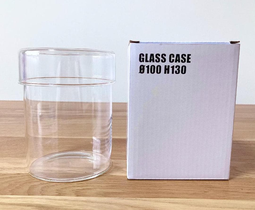 【ルージュ】Bucephalandra sp. Mini Phantom