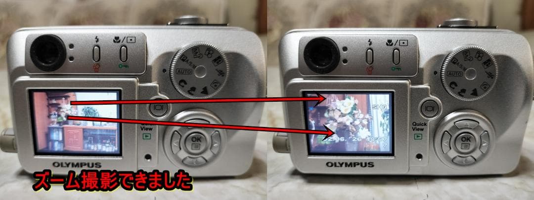 フルセットOLYMPUS CAMEDIA X-1 防水プロテクタ付！即エモい写真