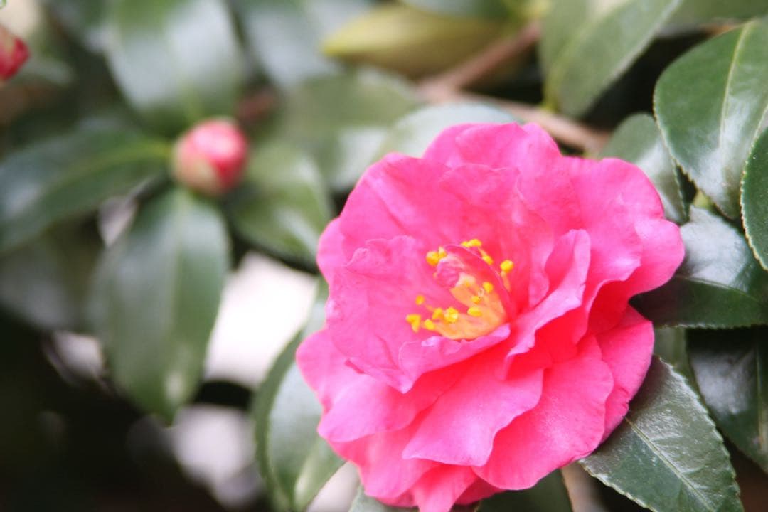 キヤノン　CANON EF 28-200mm f/3.5-5.6 USM ズーム