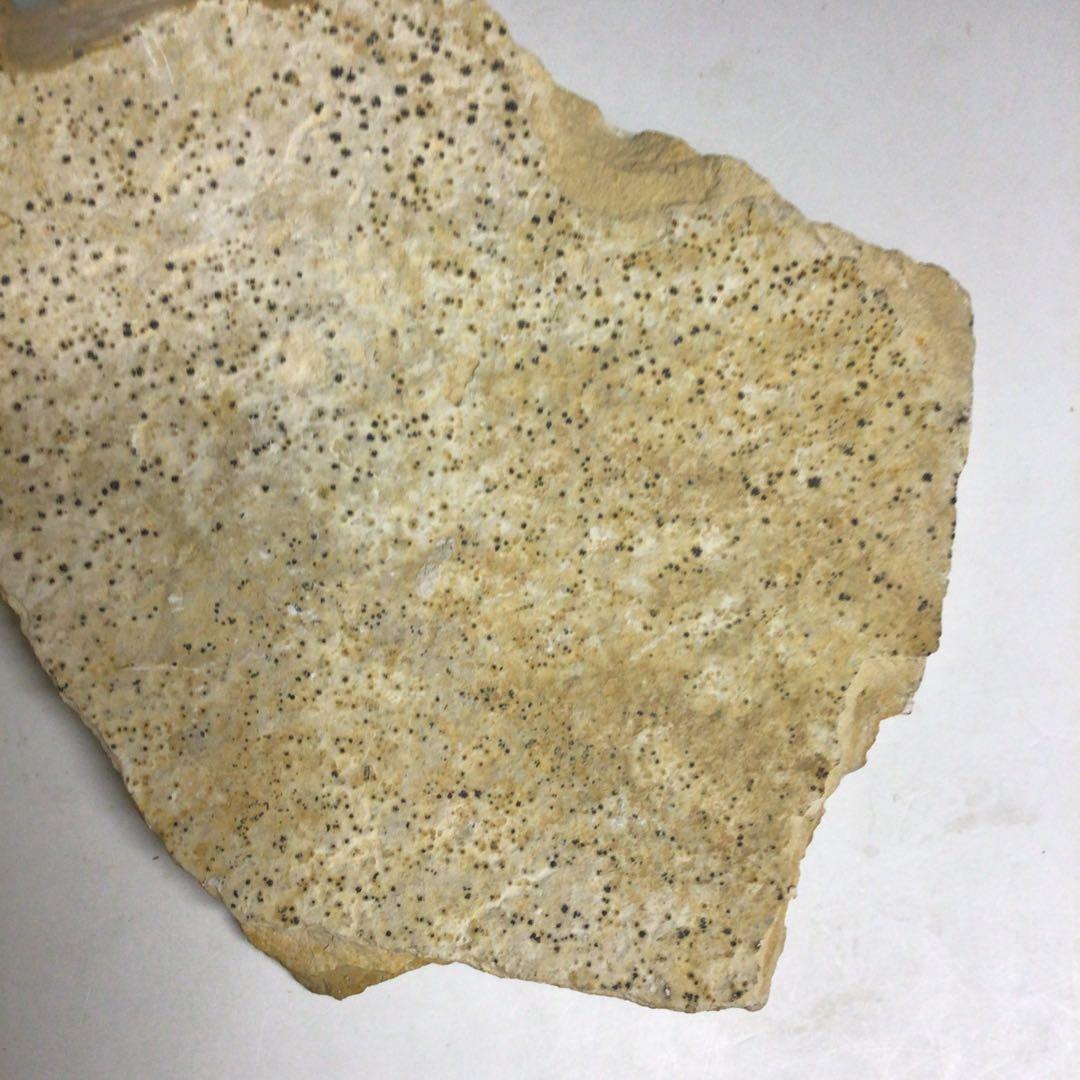 ★ロシア正教 古代のキリスト肖像画の石片 イコン 石画