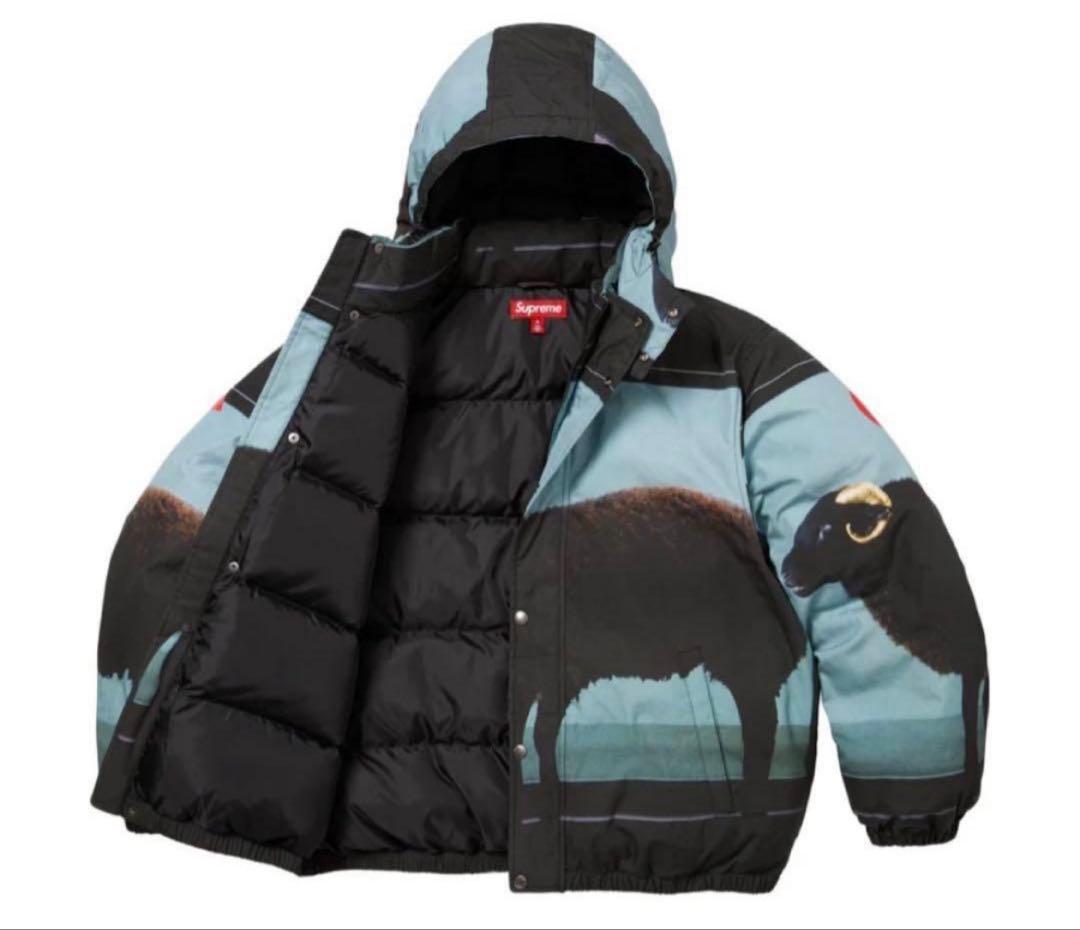 ジャケット・アウター Supreme Damien Hirst Down Puffer Jacket