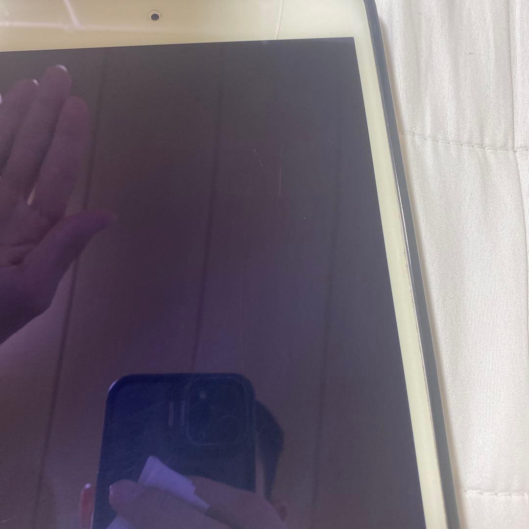 iPad本体 iPad mini5