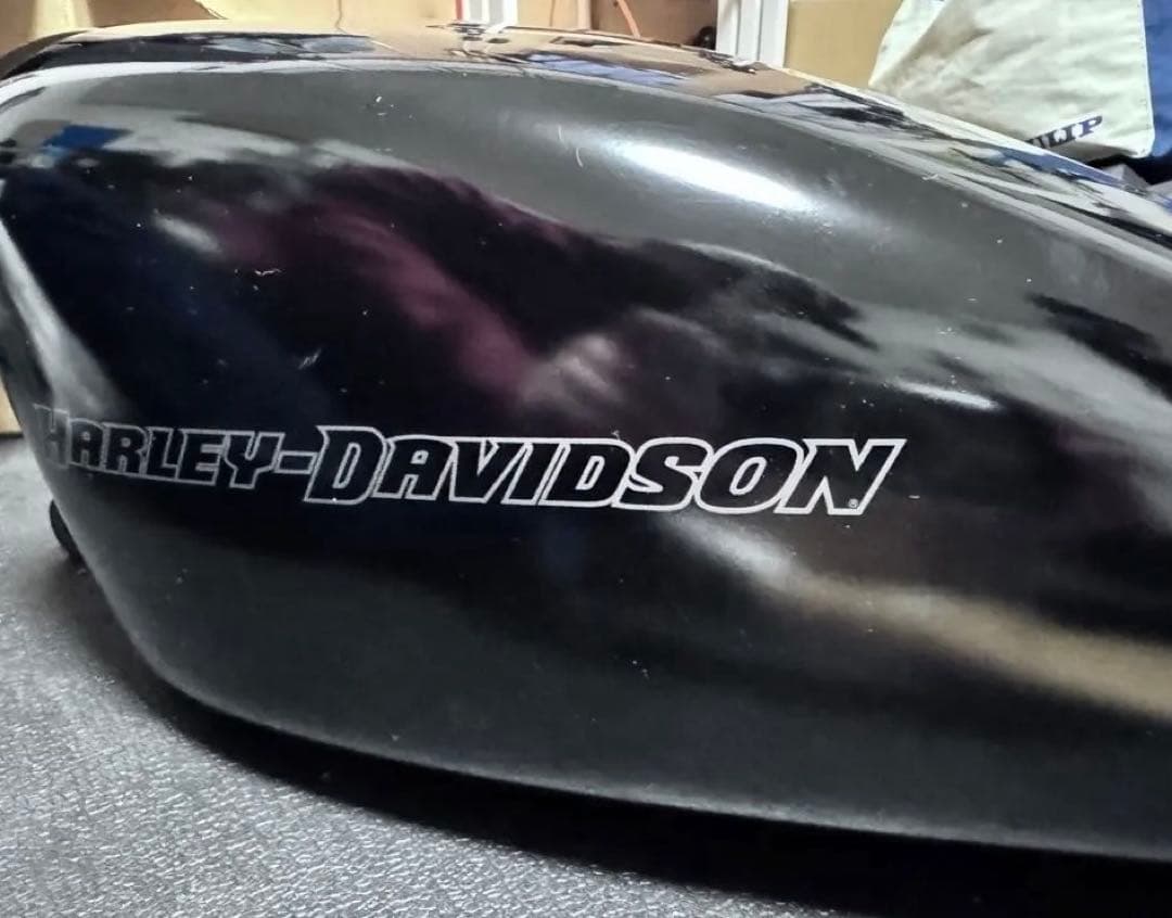 E*N様 Harley-Davidson XL883N スポーツスター フューエ