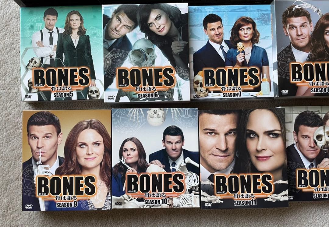 BONES ボーンズ DVD 全12シーズン コンパクトボックス　コンプリート