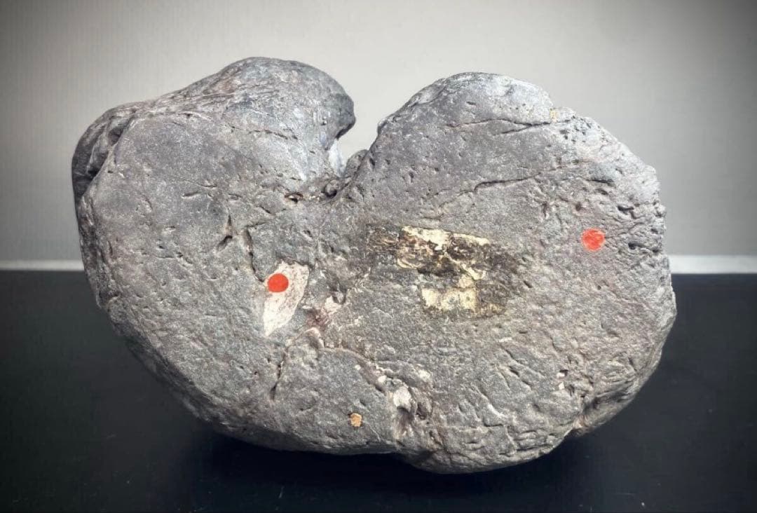 2477 安倍川紫晃石 『九天ノ瀧』桐箱付 水石 骨董 盆石