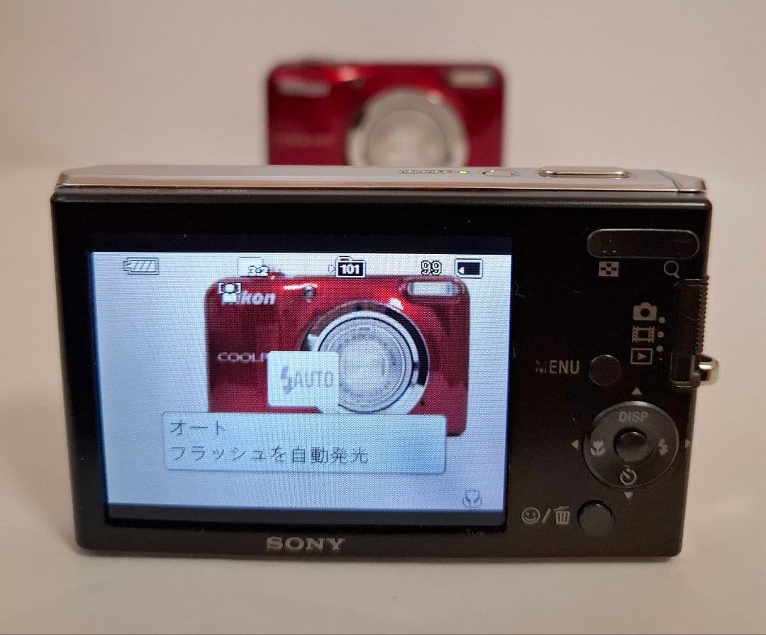 [準美品]ソニー SONY Cyber-Shot DSC-W190 コンデジ