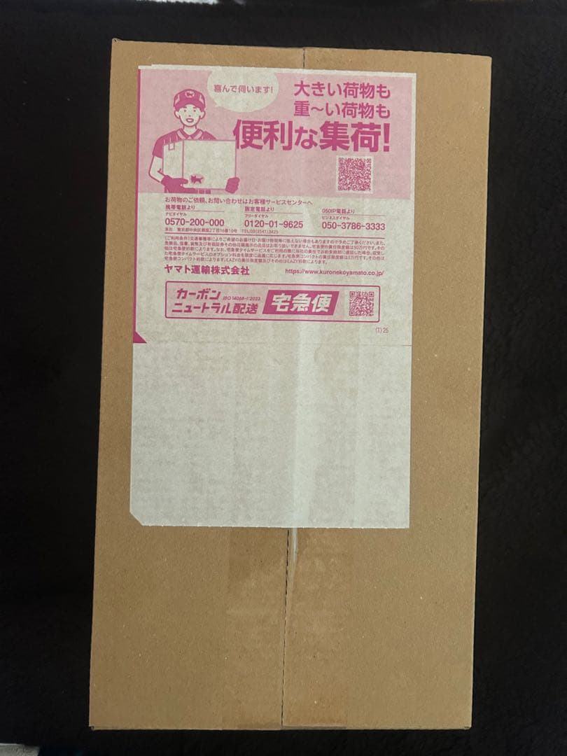 【ポケセン産未開封】ポケモンセンター ヒロシマ スペシャルBOX