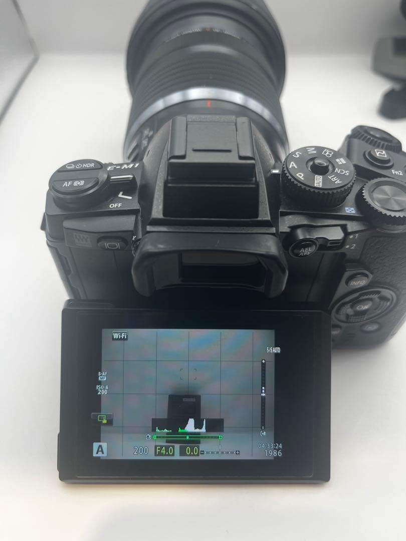 OLYMPUS OM-D EM-1 ボディ シャッター回数4241回