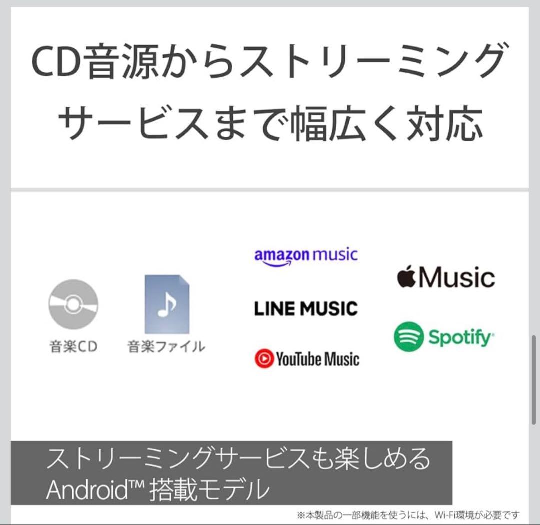 ウォークマン SONY NW-A306 32GB + 512GB