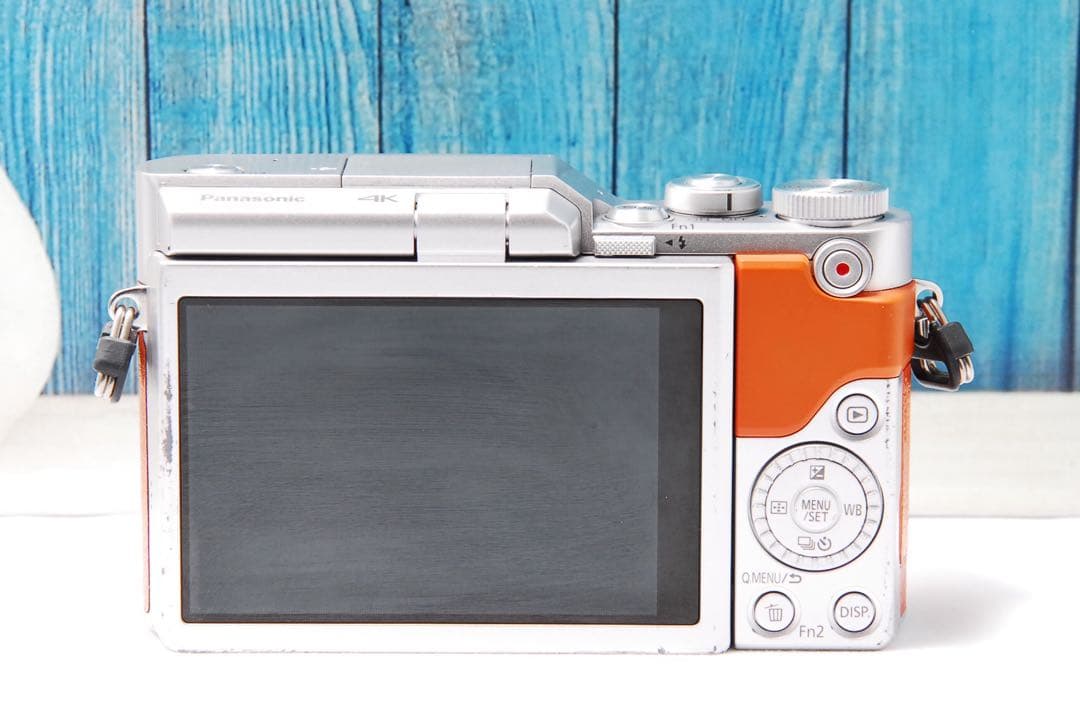 【ショット数611回】LUMIX GF9 SNS Wi-Fi チルト ミラーレス