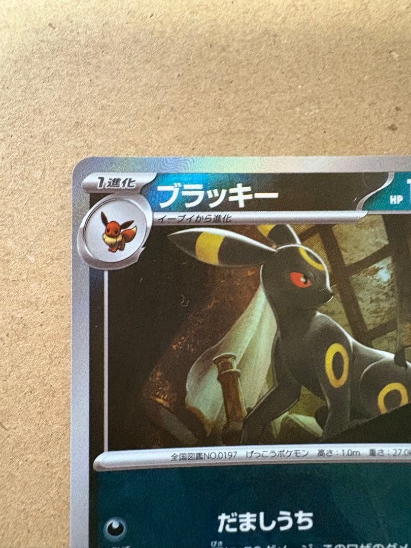 マスターボールミラー ブラッキー テラスタルフェスex マスボ