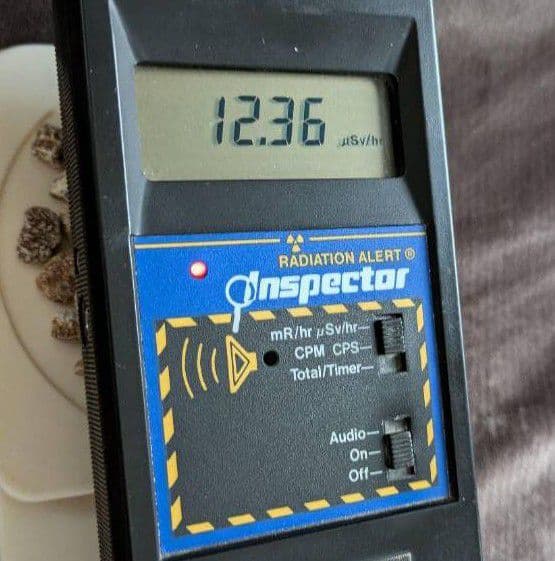 ★秋田発『北投石』２１７グラム 100%本物!!秋田玉川温泉産✨年末年始セール✨