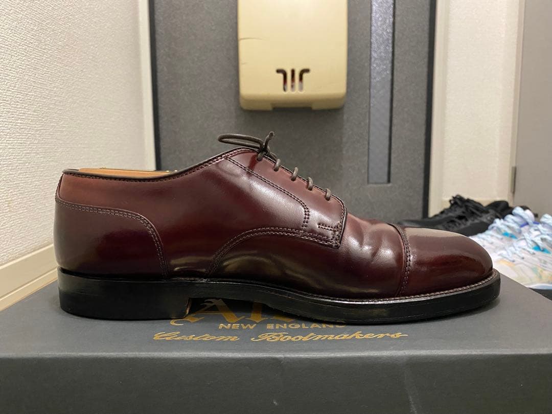 Alden / 2160 / コードバン / No.8 / 8.5D