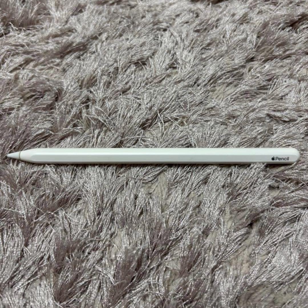 iPad Pro 11インチ（第2世代 )Apple Pencil（第2世代）