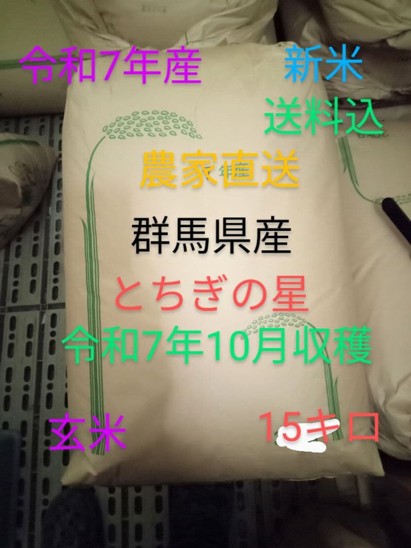 R7年産 新米 群馬県産 とちぎの星 15キロ 玄米 送料込 ②