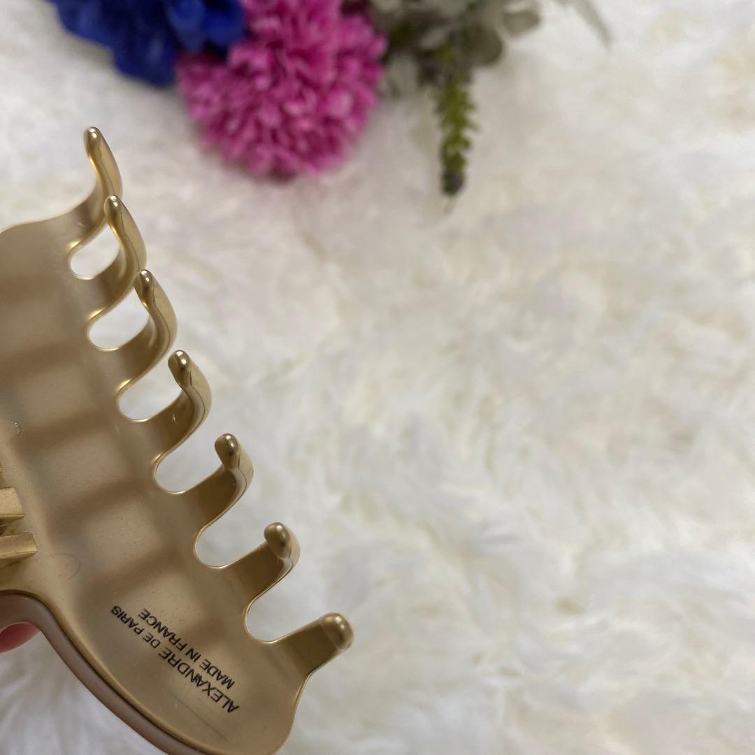 chocoAlexandre de Paris VANDOME Mクリップ