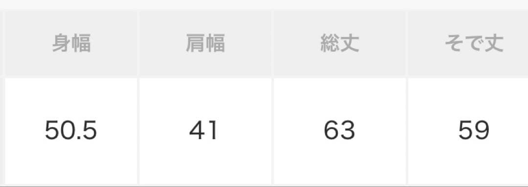 【mizuiro ind】メッシュドットハイネックプルオーバー　ブラック　F