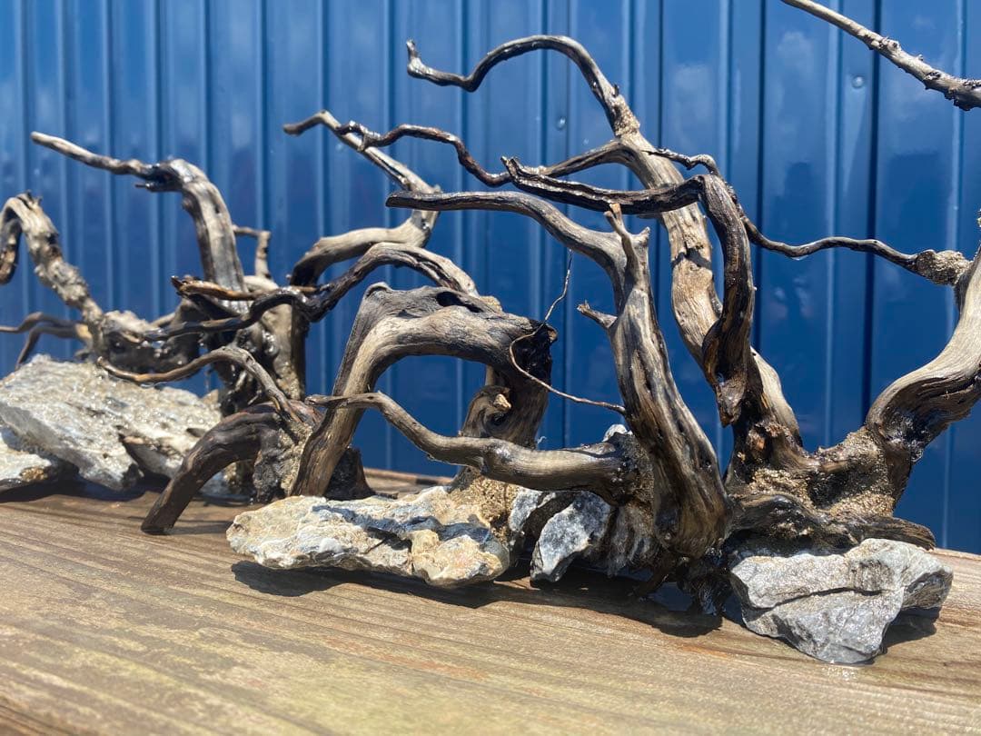 流木レイアウト 2点セット　A853