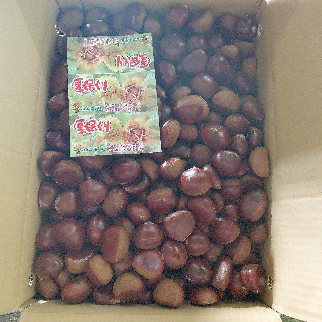 厚保栗 10kg 2Lサイズ