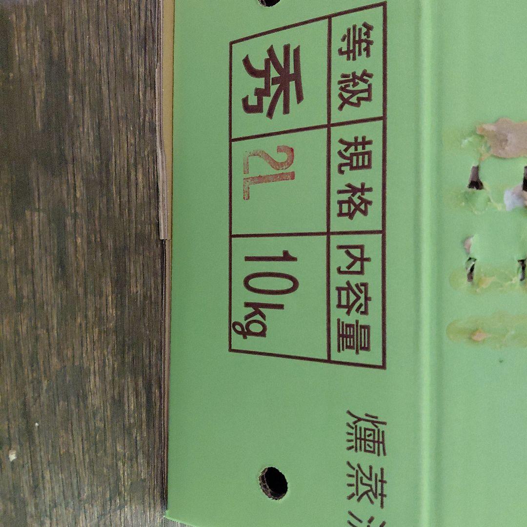 厚保栗 10kg 2Lサイズ