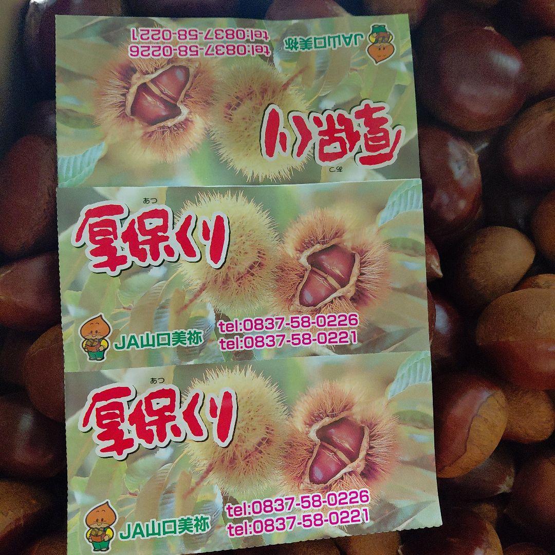 厚保栗 10kg 2Lサイズ