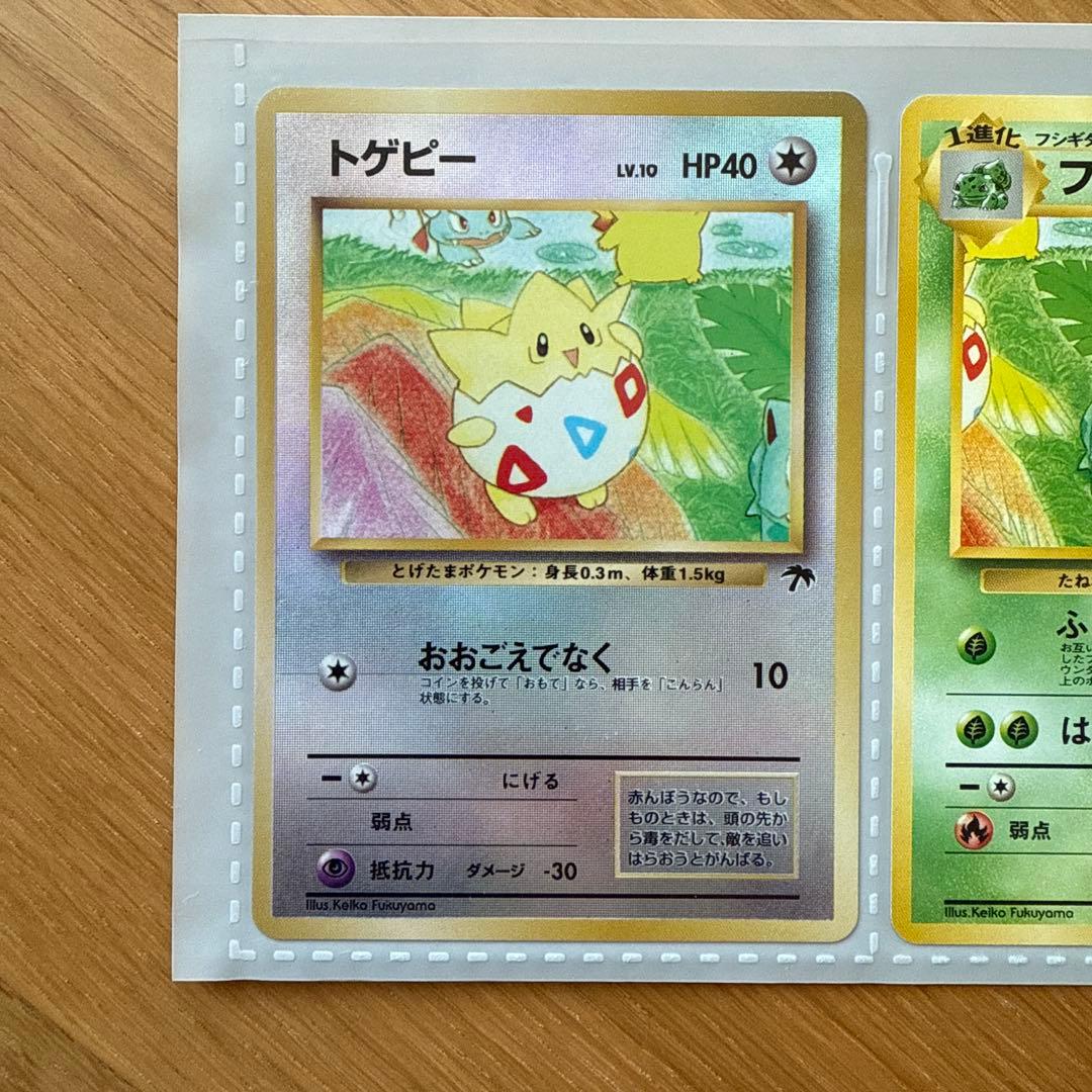 旧裏 サザンアイランド レインボーアイランド ポケモンカードゲーム