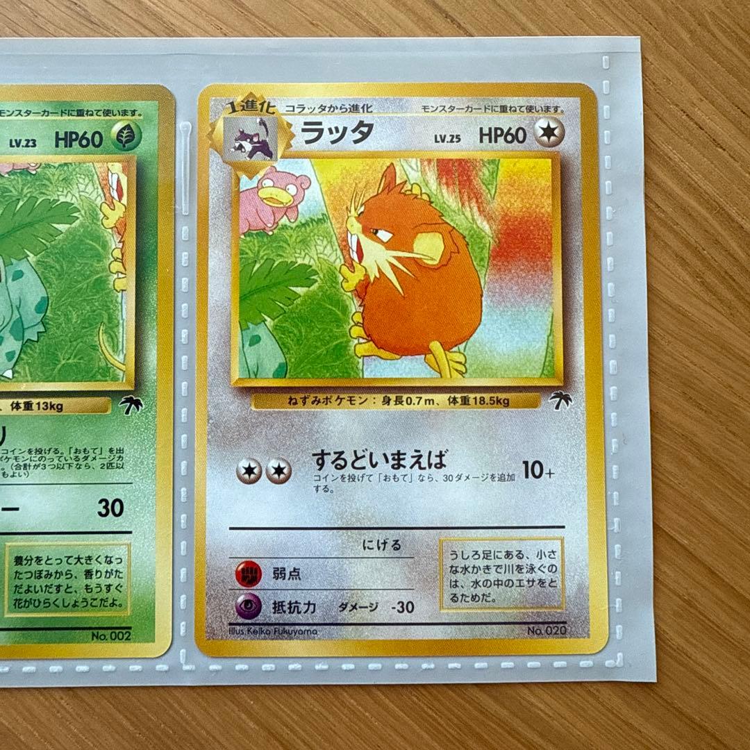 旧裏 サザンアイランド レインボーアイランド ポケモンカードゲーム