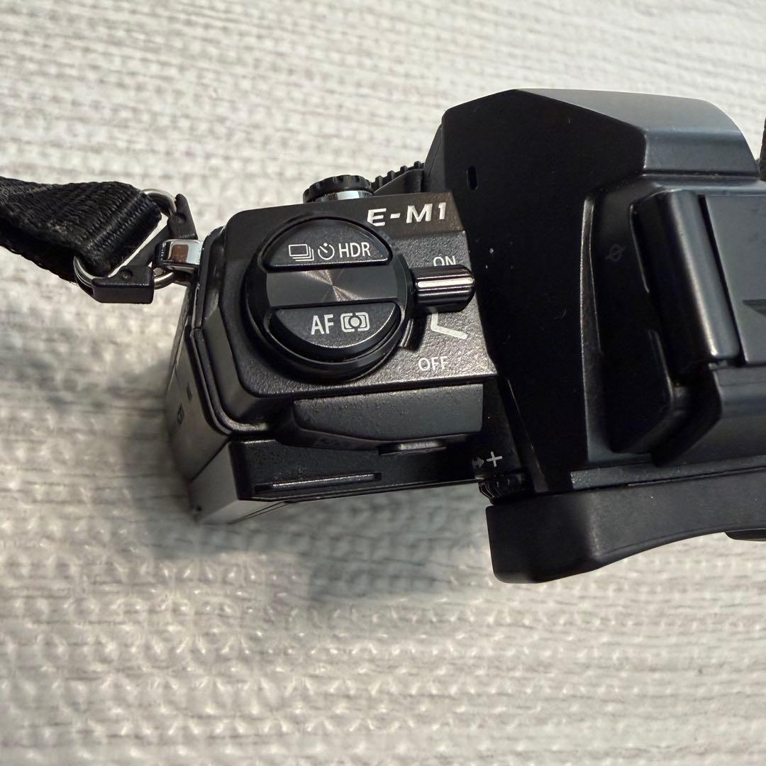 OLYMPUS OM-D E-M1 ミラーレス一眼カメラ 三脚 カメラバッグ
