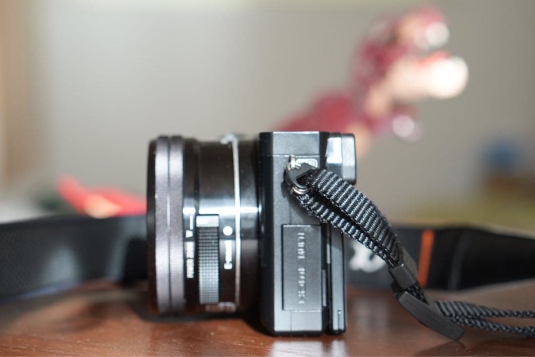 ✴︎動作確認済み✴︎α6000 ILCE-6000 純正カバーセット