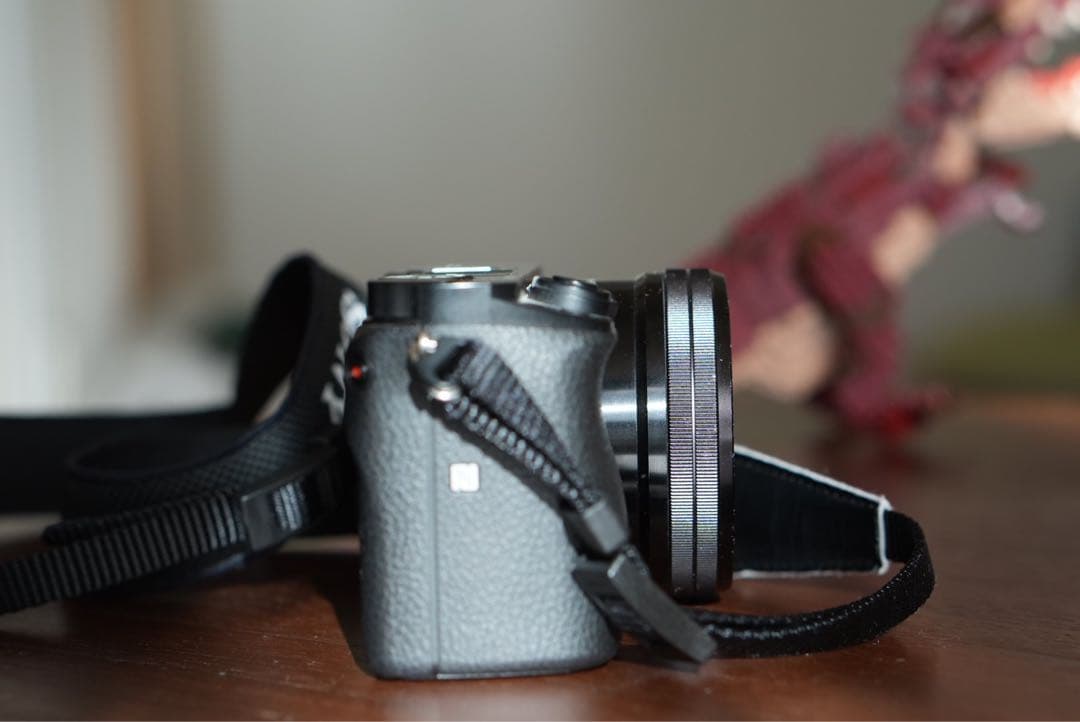 ✴︎動作確認済み✴︎α6000 ILCE-6000 純正カバーセット