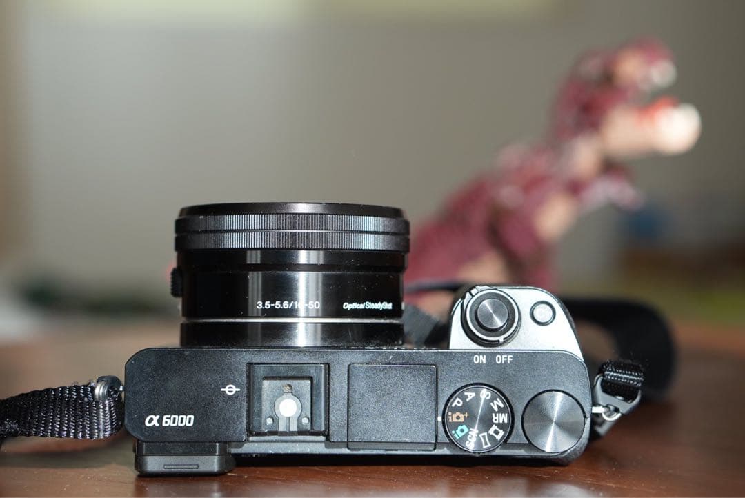 ✴︎動作確認済み✴︎α6000 ILCE-6000 純正カバーセット