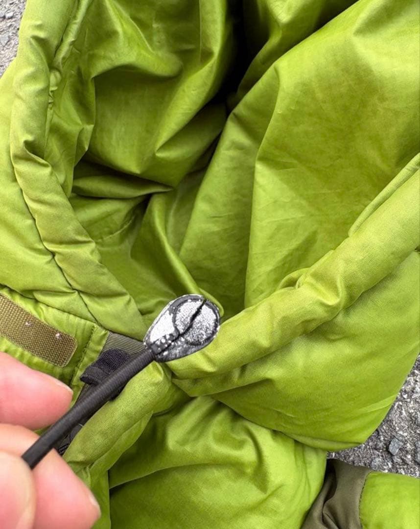 【希少】patagonia ダウンパーカー　ゲッコーグリーン Lサイズ