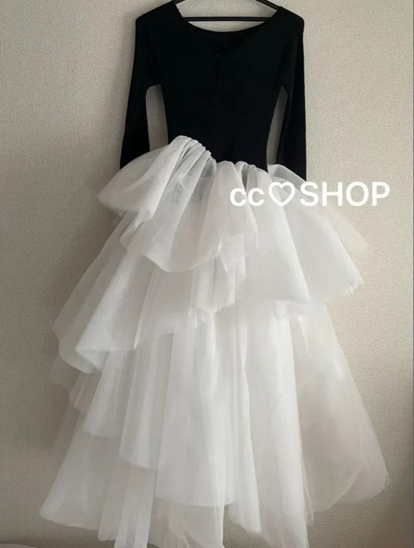 専用bibiy DELPHINE TULLE DRESS ひめか 山田優 着用