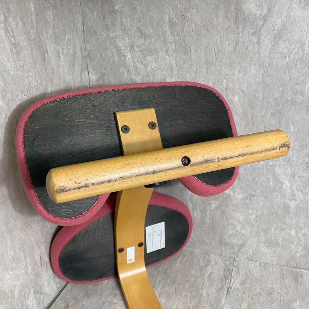 Rybo リボ社 Balans Easy バランスイージー ピンク 新品カバー付