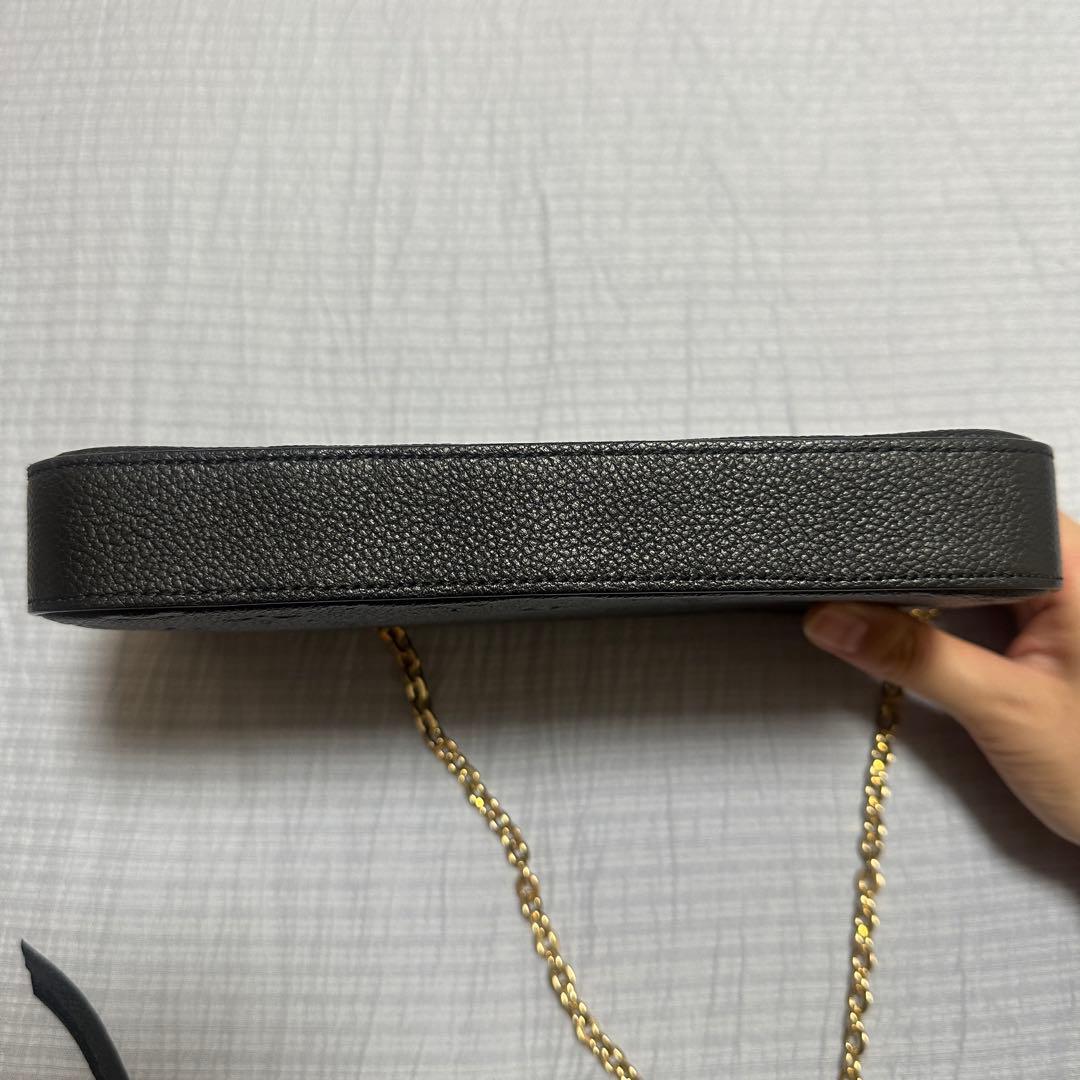 ルイヴィトン ポシェットフェリシー モノグラムアンプラント バッグ