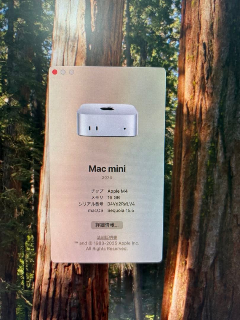 Macデスクトップ Apple Mac mini 2024 M4 16GB 256GB