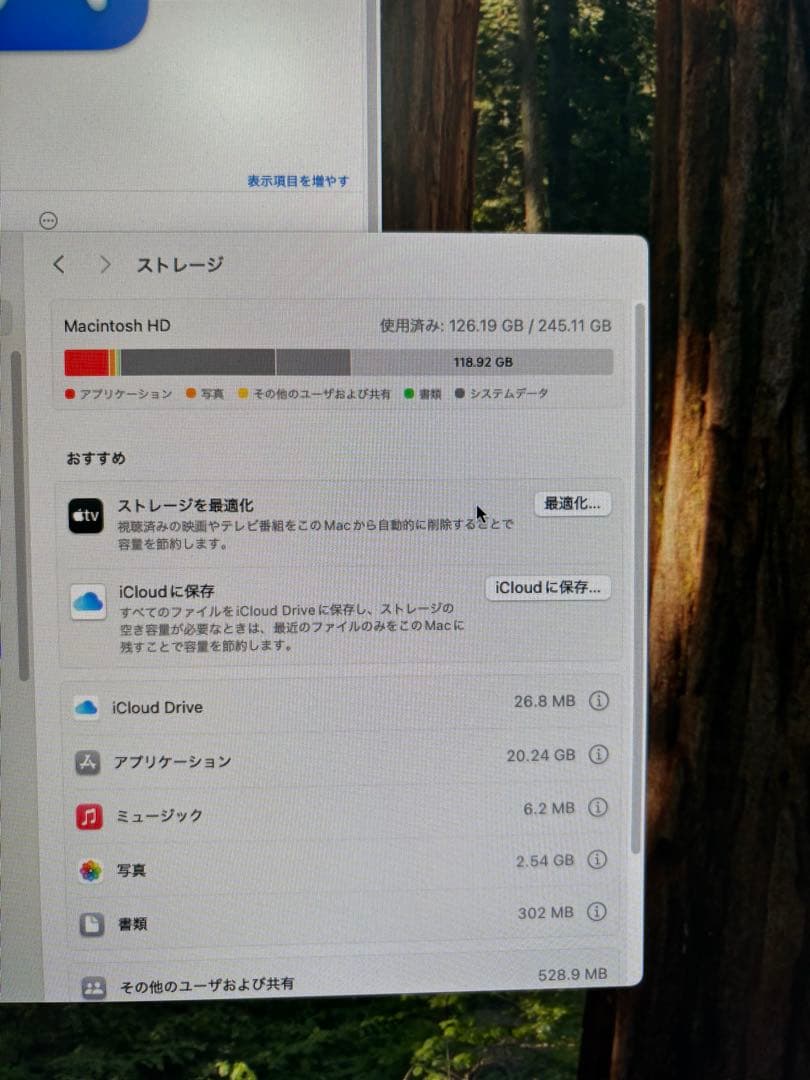 Macデスクトップ Apple Mac mini 2024 M4 16GB 256GB