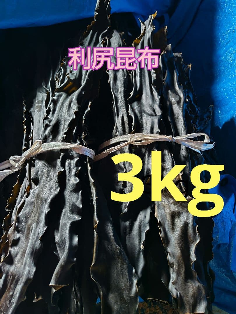 利尻昆布 天然　3kg