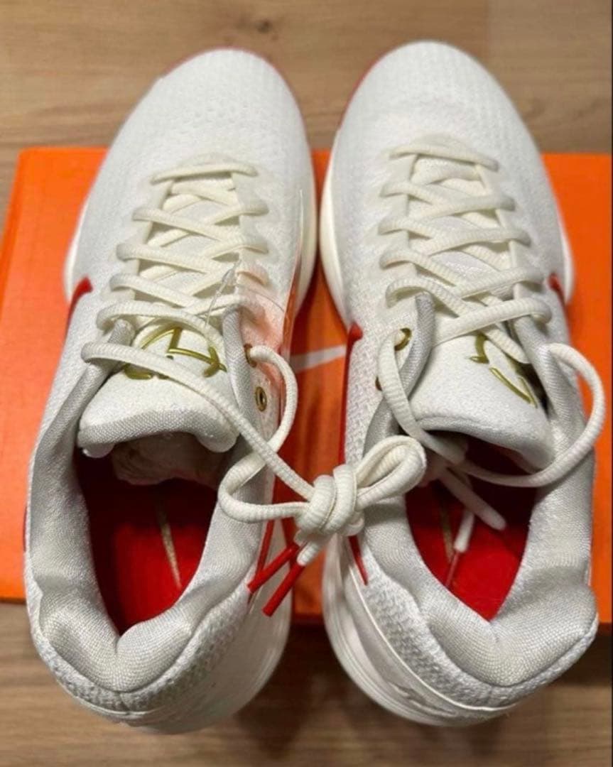 新品28.5 cm NIKE ナイキ HYPERDUNK 2017 LOW EP