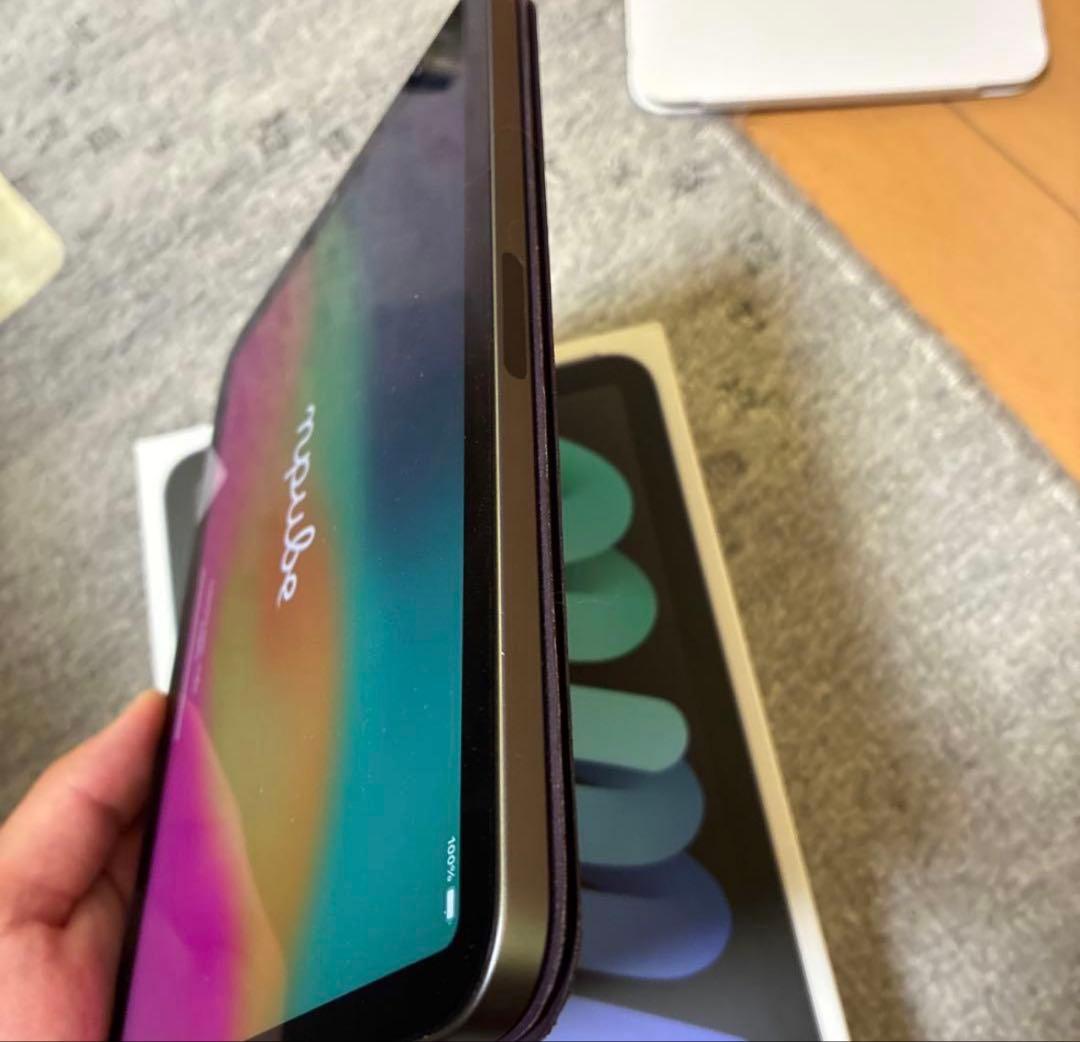 美品 Apple iPadmini64GB スペースグレー 本体 カバー付き