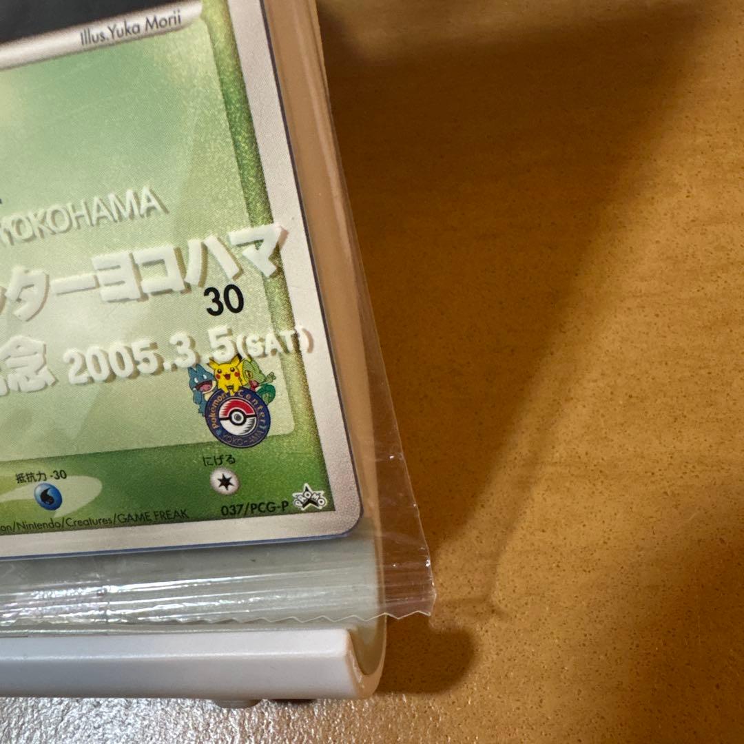 ポケモンカード　キモリ PROMO PCG-Pプロモカード 037/PCG-P