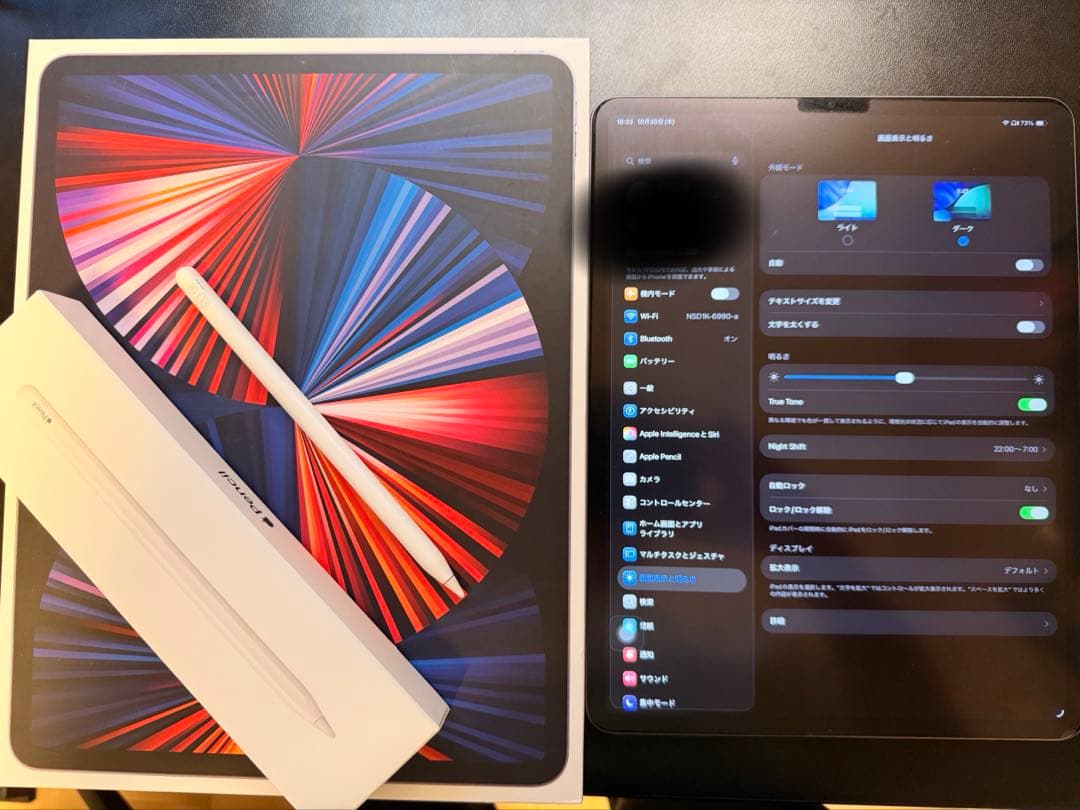 iPad Pro 第5世代12.9inchi 256GB 純正pencil付