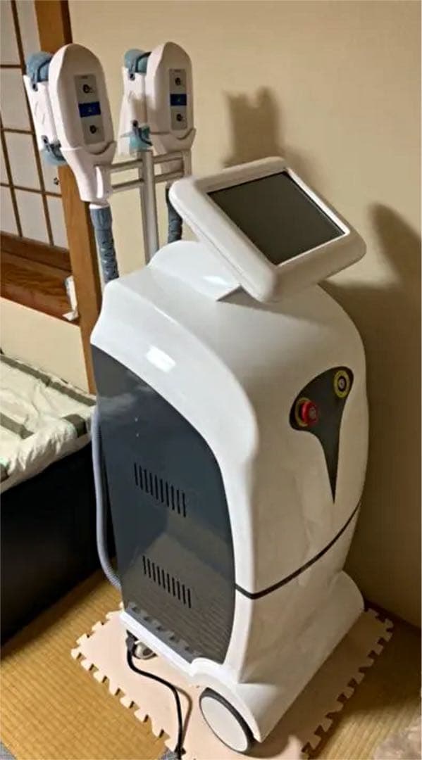 冷凍脂肪溶解 フリーズファット