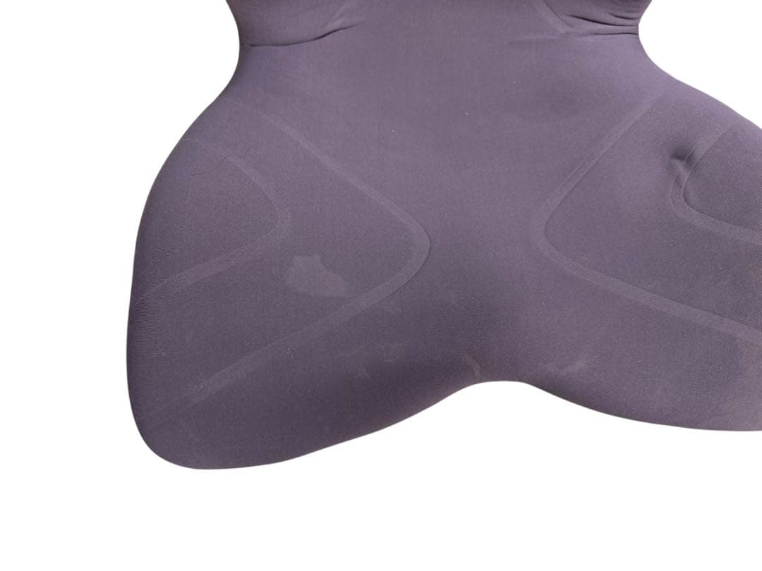 ◯姿勢サポート 骨盤矯正 スタイルプレミアム stylepremium