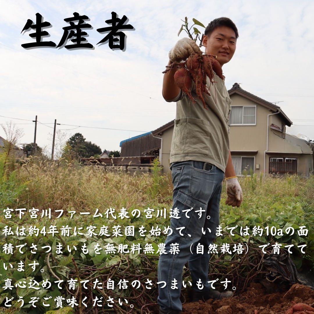 さつまいも『紅はるか』15kg ★無肥料・無農薬★