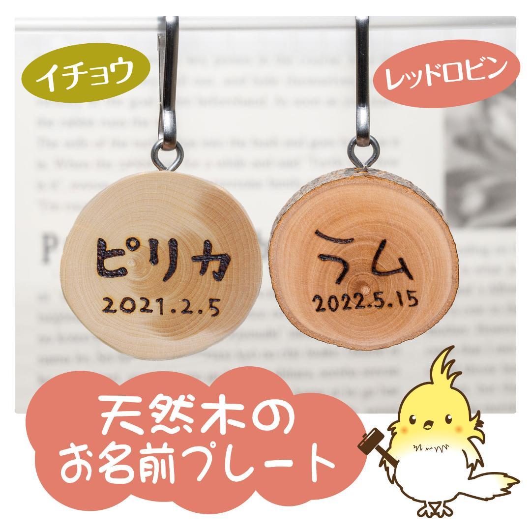 ①天然木のお名前プレート　６個 ②吊り橋スーパーロング