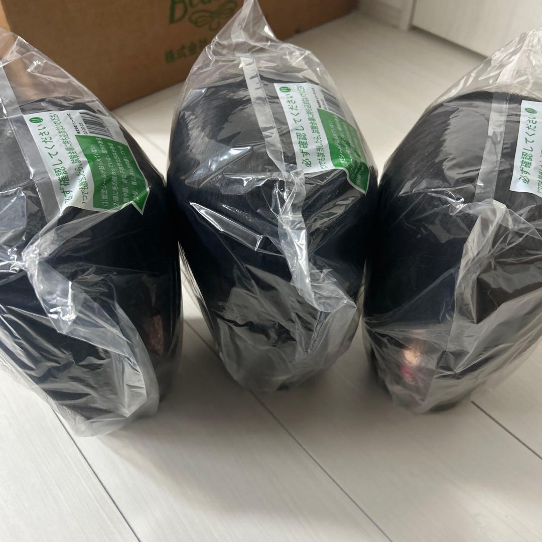 美容師国家試験カットウィッグ新品未使用 3個セット